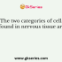 Which tissue is responsible for the control of the body and also for communication among different body parts?