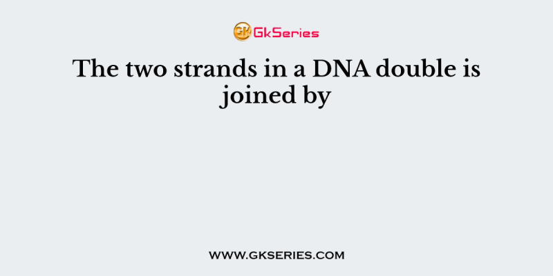 The two strands in a DNA double is joined by
