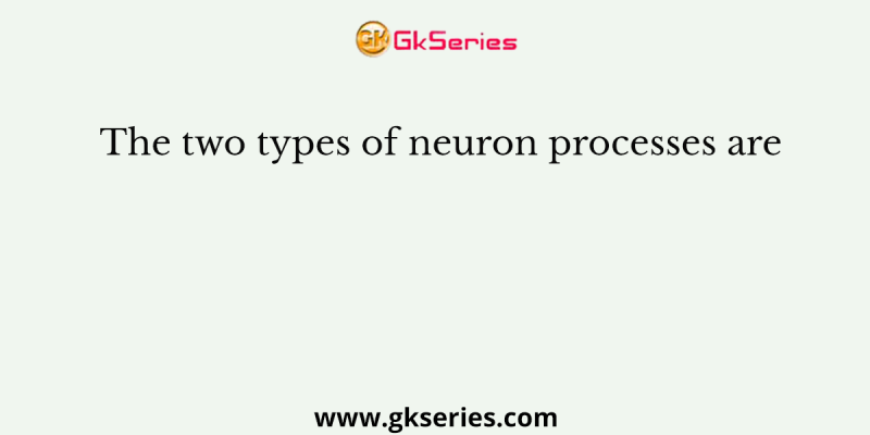 The two types of neuron processes are