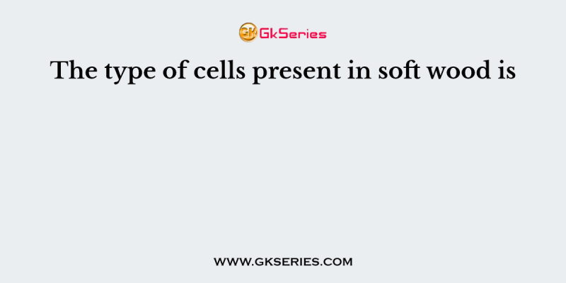 The type of cells present in soft wood is