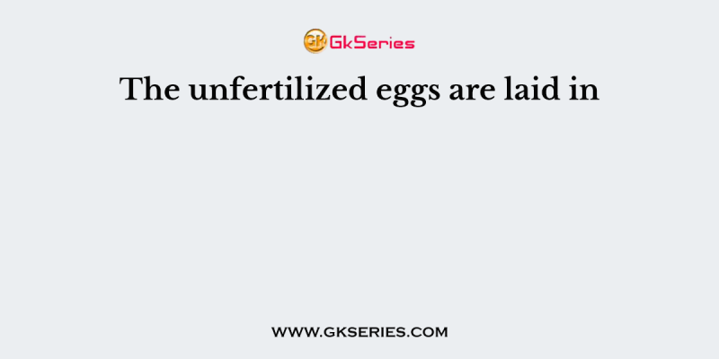The unfertilized eggs are laid in