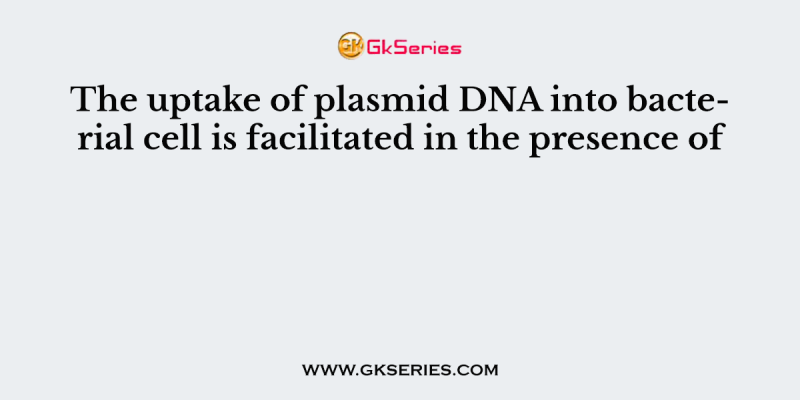 The uptake of plasmid DNA into bacterial cell is facilitated in the presence of