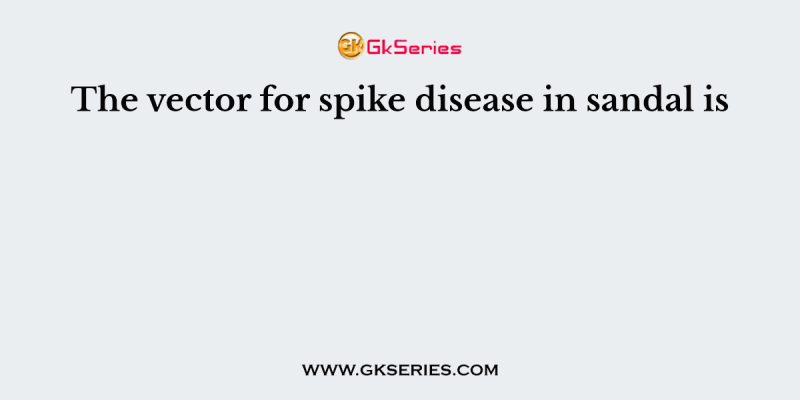 The vector for spike disease in sandal is
