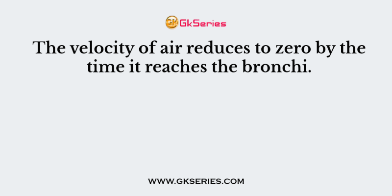 The velocity of air reduces to zero by the time it reaches the bronchi.