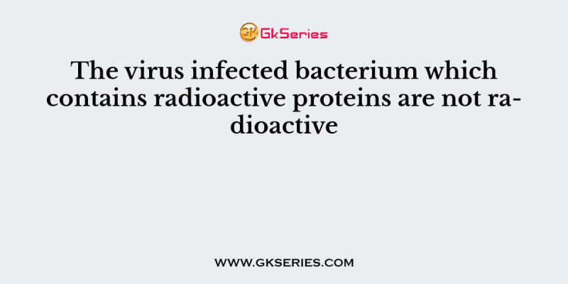 The virus infected bacterium which contains radioactive proteins are not radioactive