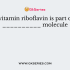 The vitamin niacin is part of the __________ molecule