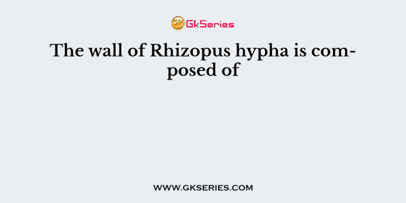 The wall of Rhizopus hypha is composed of
