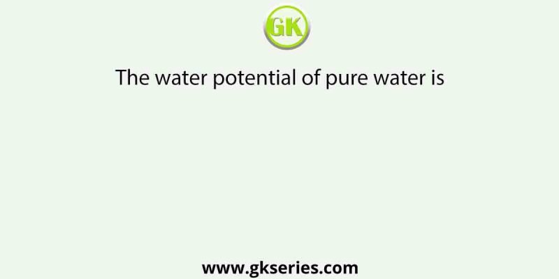 The water potential of pure water is