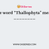 Thallophyta follows cryptogamae.