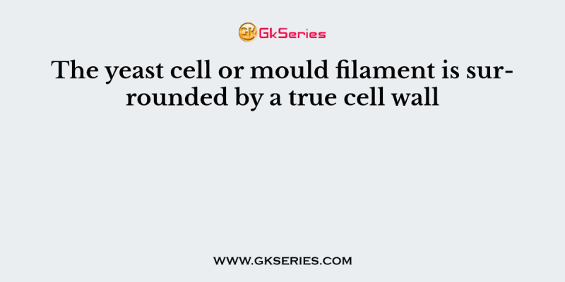 The yeast cell or mould filament is surrounded by a true cell wall