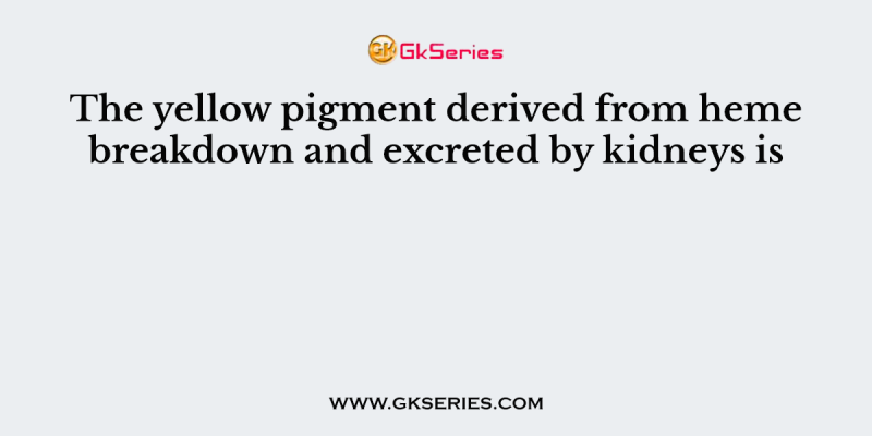 The yellow pigment derived from heme breakdown and excreted by kidneys is