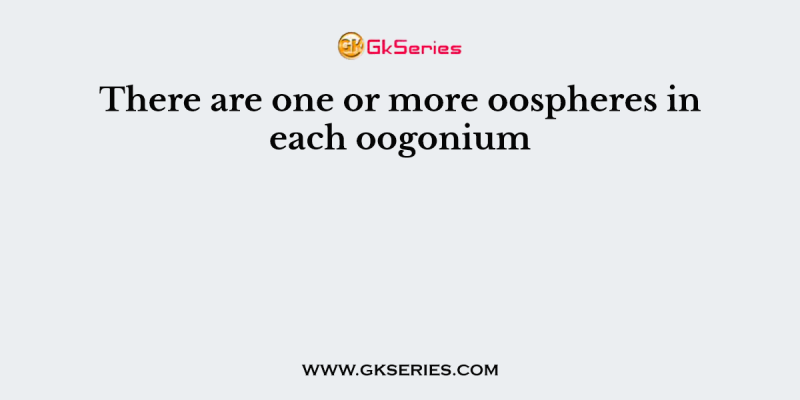 There are one or more oospheres in each oogonium