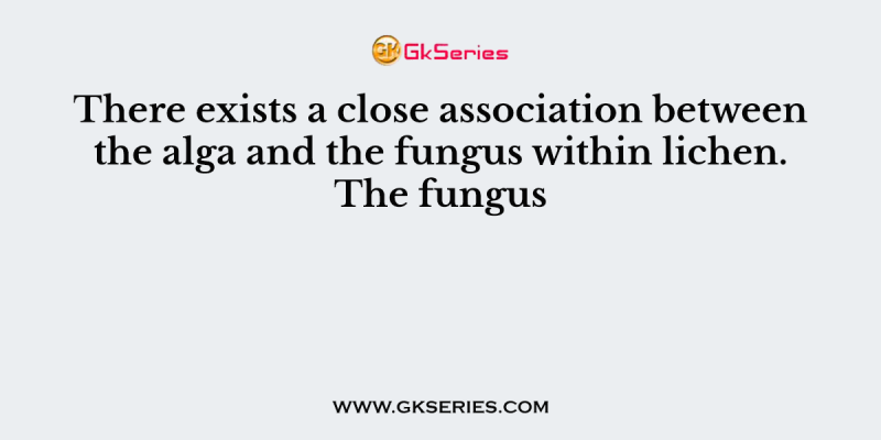 There exists a close association between the alga and the fungus within lichen. The fungus