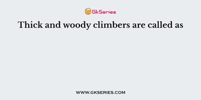 Thick and woody climbers are called as