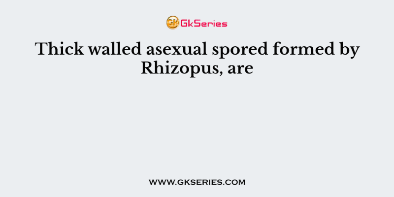 Thick walled asexual spored formed by Rhizopus, are