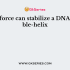 The process of DNA replication is affected by an enzyme known as