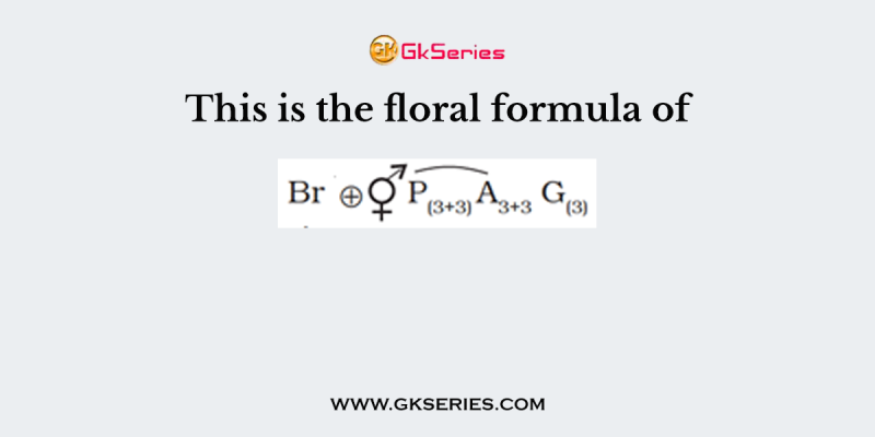 This is the floral formula of