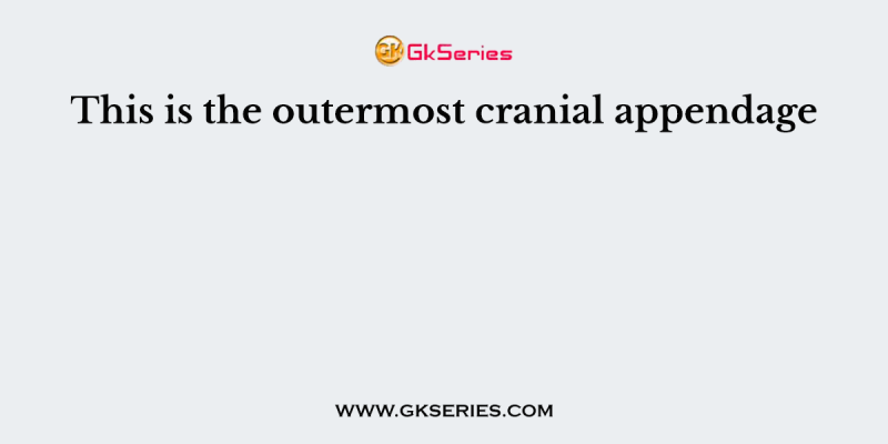 This is the outermost cranial appendage
