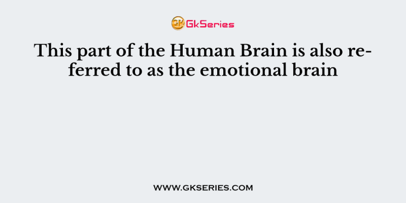 This part of the Human Brain is also referred to as the emotional brain