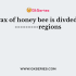 Body of honey bee is divded into ———regions