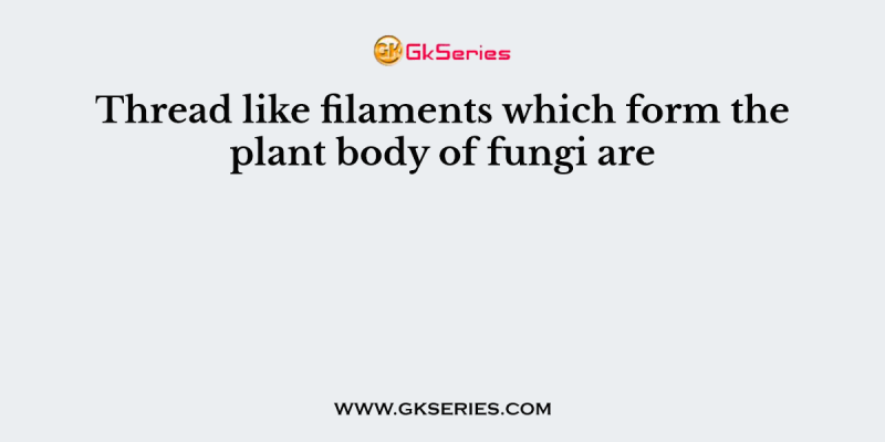 Thread like filaments which form the plant body of fungi are