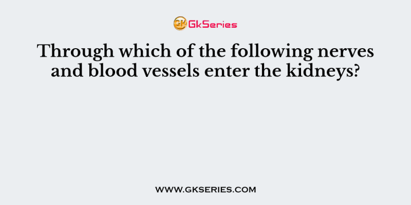 Through which of the following nerves and blood vessels enter the kidneys?