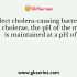 Which of the following chemotherapeutic agents may affect the growth of Campylobacter jejuni?