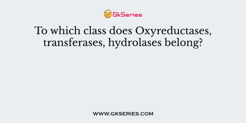 To which class does Oxyreductases, transferases, hydrolases belong?