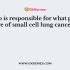 Neuroendocrine tumors (NETs) constitute what percentage of lung cancers