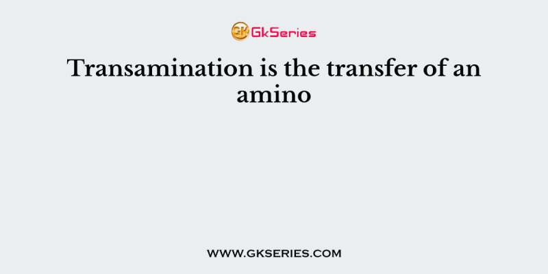Transamination is the transfer of an amino