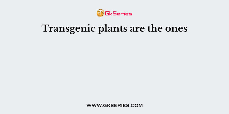 Transgenic plants are the ones