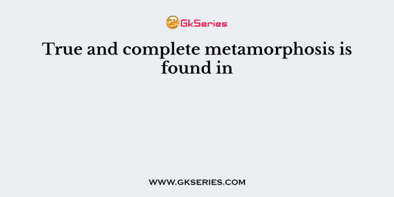 True and complete metamorphosis is found in