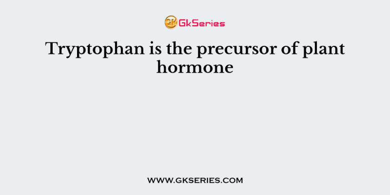 Tryptophan is the precursor of plant hormone