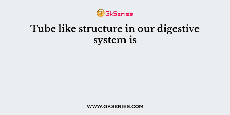 Tube like structure in our digestive system is