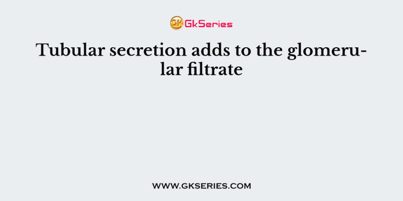 Tubular secretion adds to the glomerular filtrate