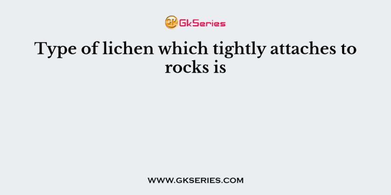 Type of lichen which tightly attaches to rocks is