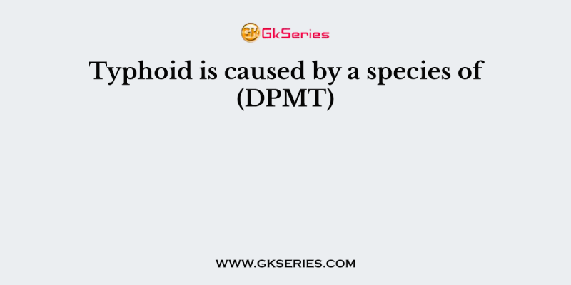 Typhoid is caused by a species of (DPMT)