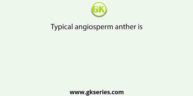 Typical angiosperm anther is