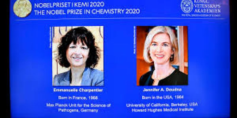 U.S.-French duo won Nobel Chemistry Prize for gene editing tool