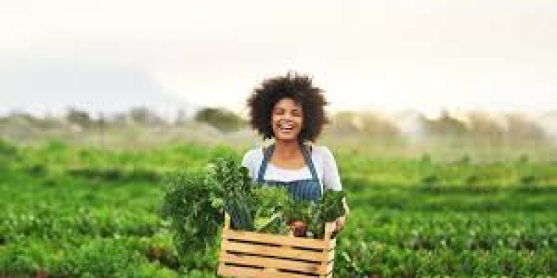 UN Declares 2026 as International Year of the Woman Farmer