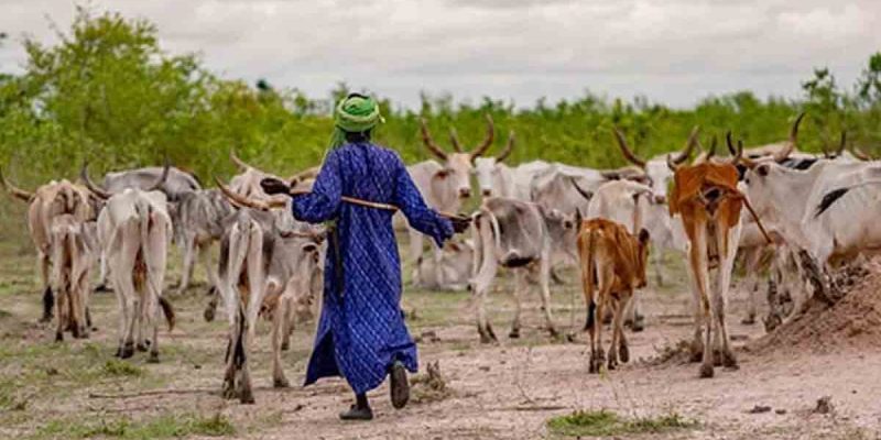 UN International Year of Rangelands and Pastoralists 