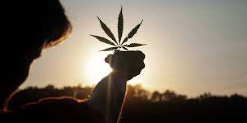 UN commission reclassifies cannabis, no longer considered risky narcotic