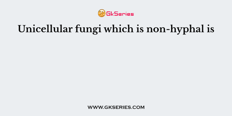 Unicellular fungi which is non-hyphal is