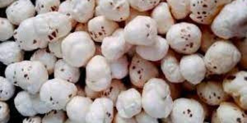 Union Govt awarded GI tag to Bihar’s Mithila Makhana