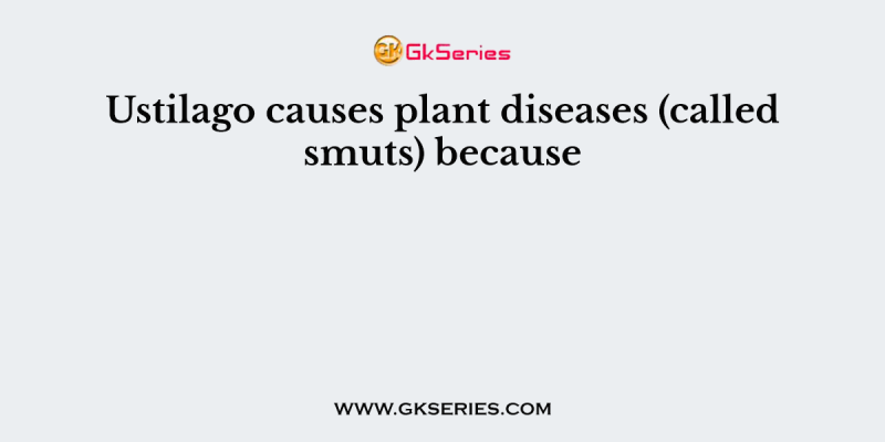 Ustilago causes plant diseases (called smuts) because
