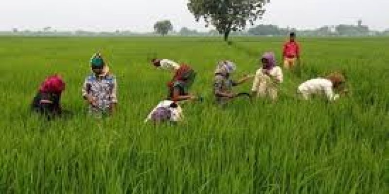 Uttarakhand Kisan Pension Yojana