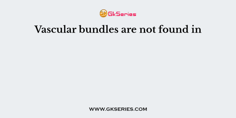 Vascular bundles are not found in