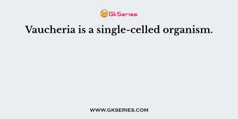 Vaucheria is a single-celled organism.