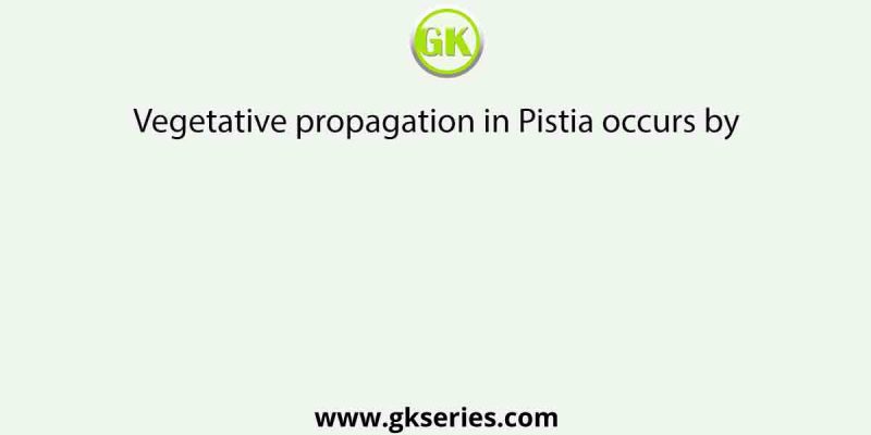 Vegetative propagation in Pistia occurs by      [AIPMT MAINS 2010]