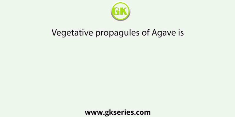 Vegetative propagules of Agave is